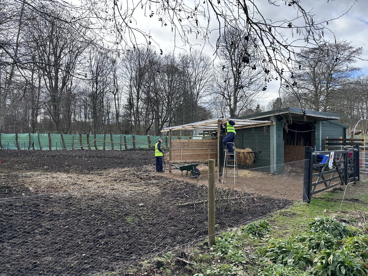 Alness Academy CDT tweet media