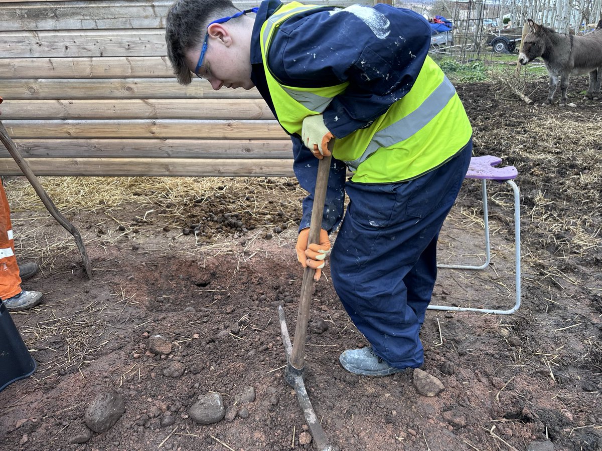 Alness Academy CDT tweet media