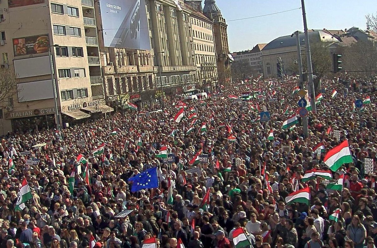 Bogdan Zdrojewski tweet media