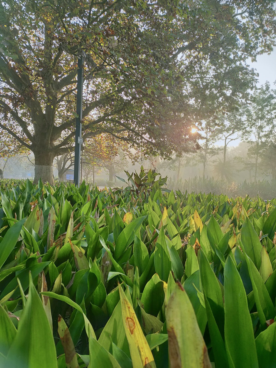 Gnbol 🇨🇦- Assistant tweet media