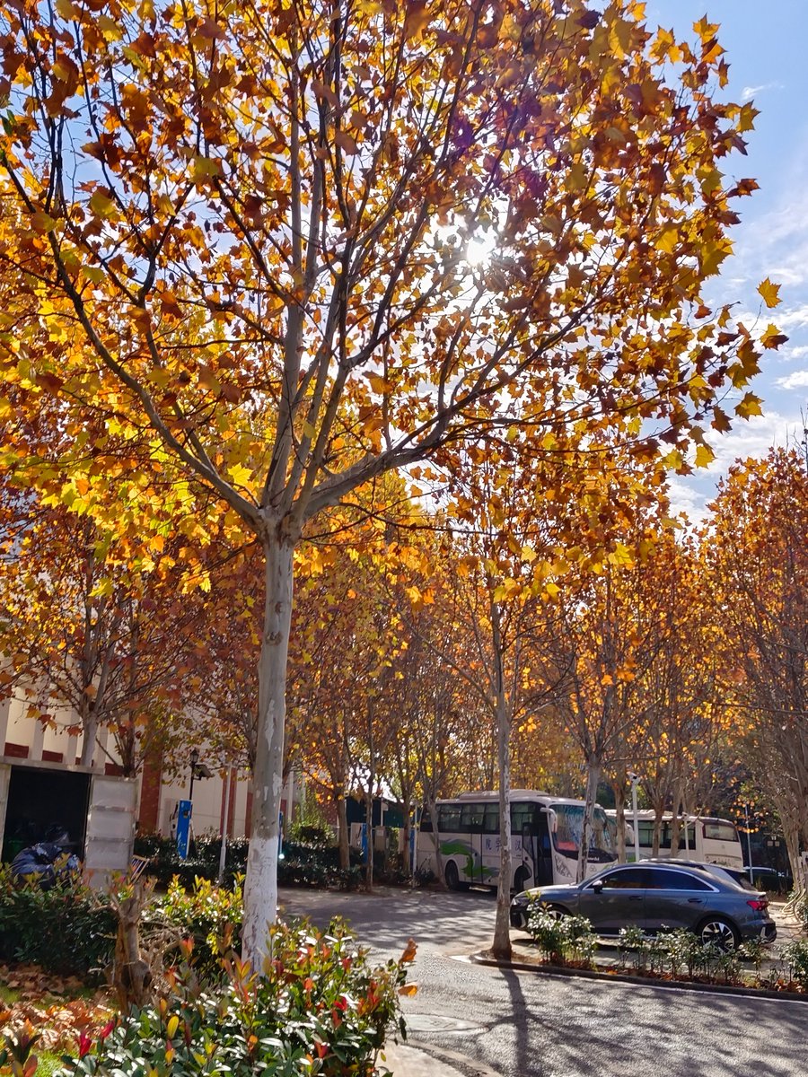 Esther GM tweet media