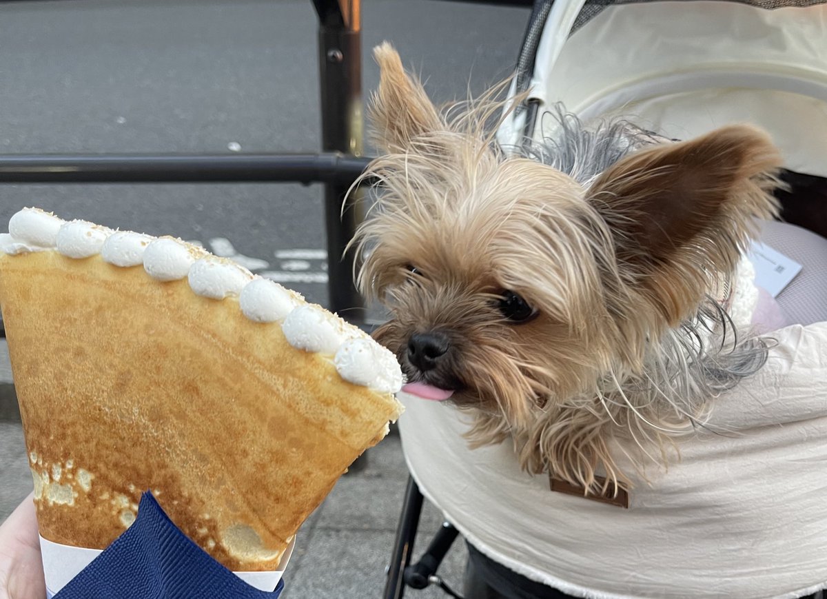 リカちゃん tweet media