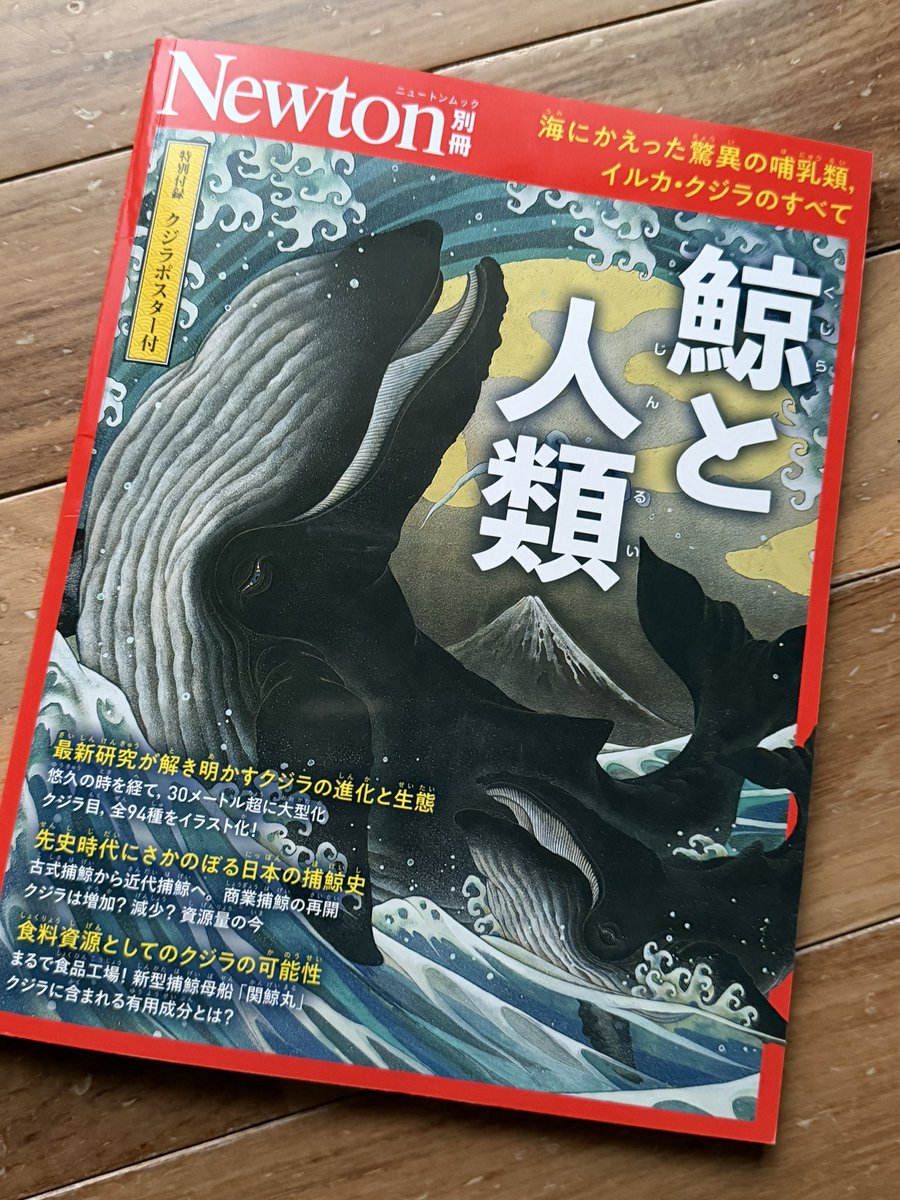 KENJIRO@DIVER tweet media