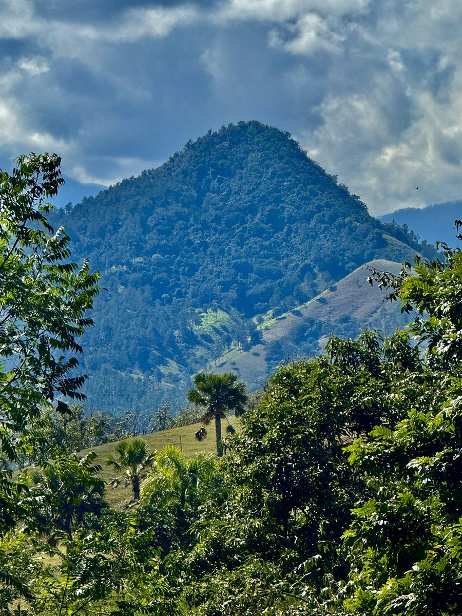 "NO TE LIMITES A DECIR QUE HAS LEÍDO LIBROS. DEMUESTRA QUE A TRAVÉS DE ELLOS HAS APRENDIDO A PENSAR MEJOR, A SER UNA PERSONA MÁS PERSPICAZ Y REFLEXIVA."
Una cita que nos recuerda que los libros no están para decorar, sino para educarnos y transformarnos. 

Epícteto