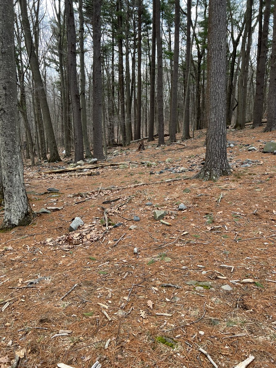 Autumn 🍁🏳️⚧️ tweet media