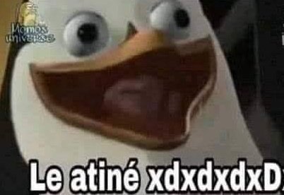 𝙄𝙉𝘿𝙄𝘾𝙊 🦤 tweet media