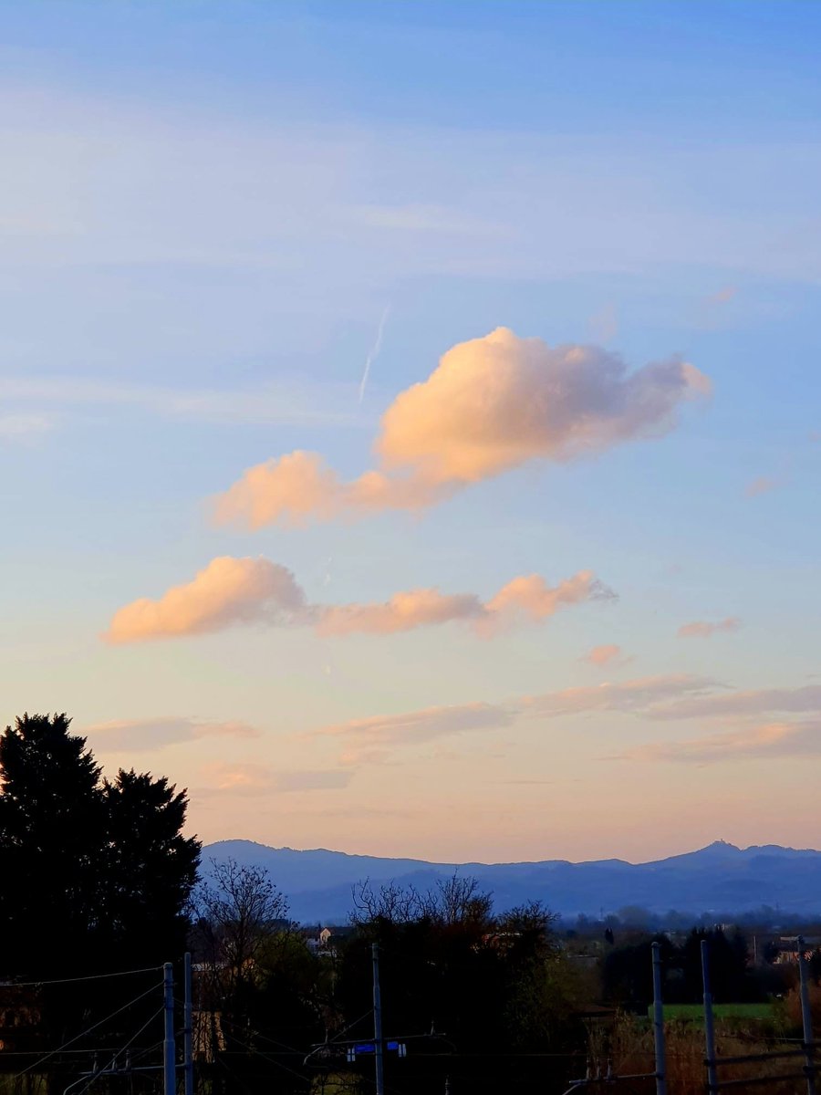 Sinopsis tweet media