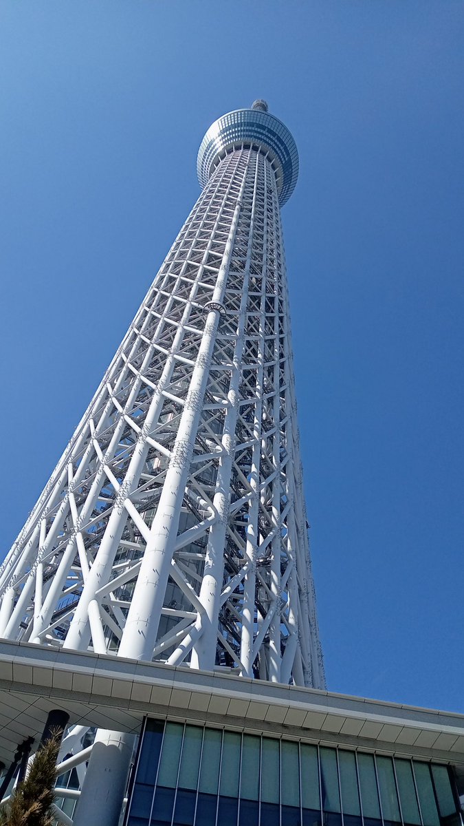 瀬名.+:｡ ヾ(◎´∀｀◎)ﾉ ｡:+. tweet media