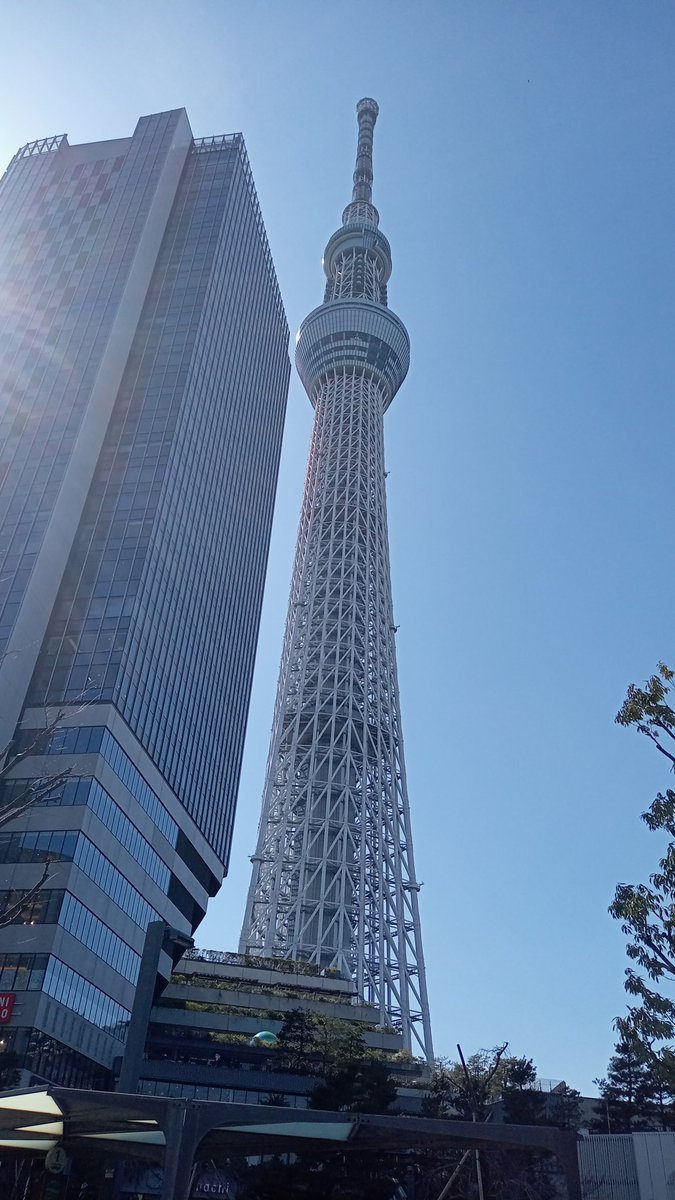 瀬名.+:｡ ヾ(◎´∀｀◎)ﾉ ｡:+. tweet media