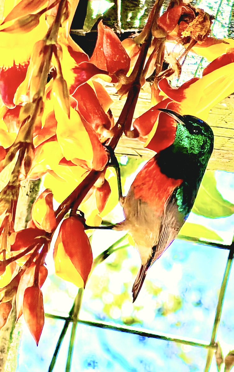 Merrily, merrily shall I live now
Under the blossom that hangs on the bough