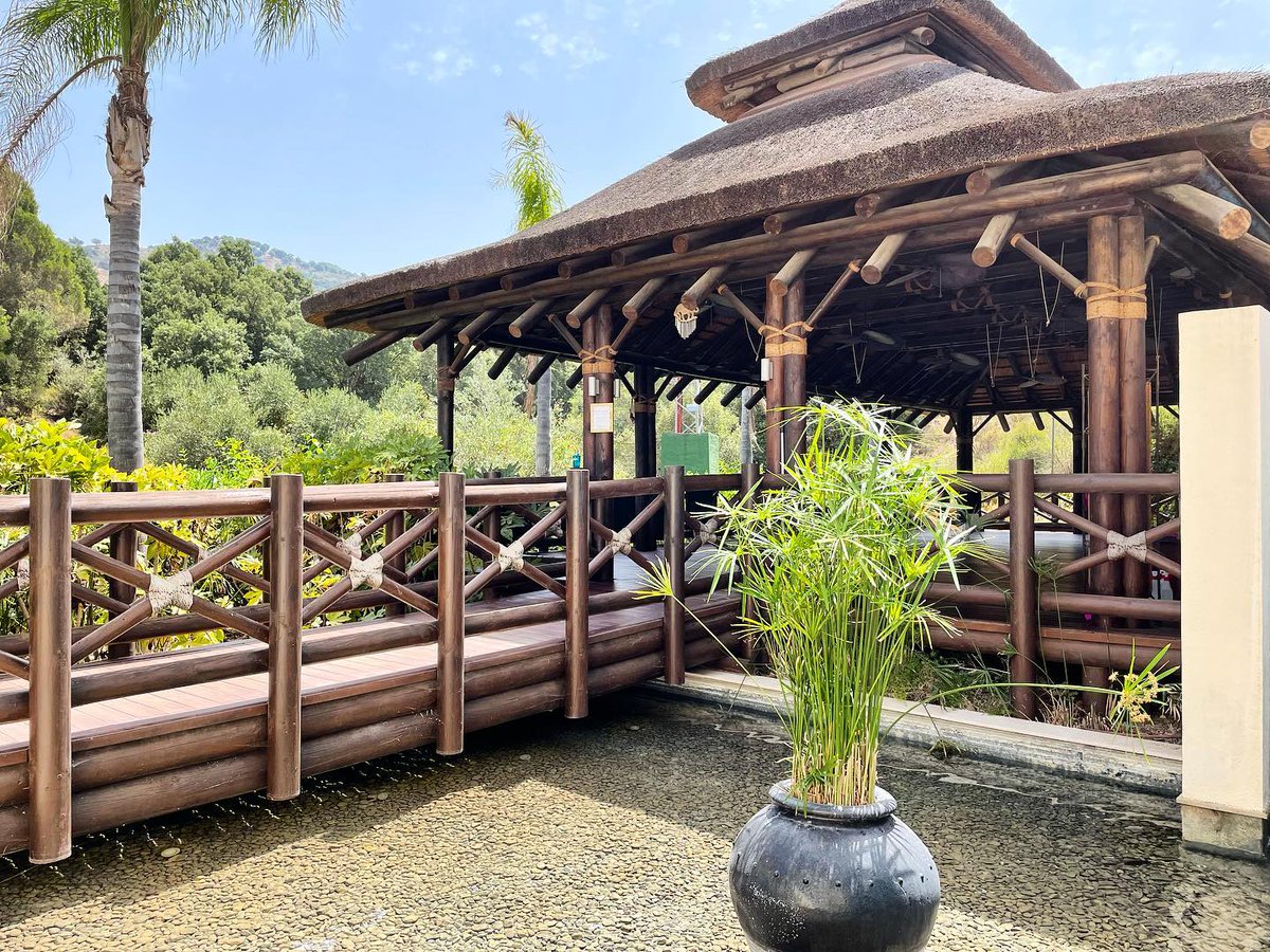 Cape Reed International tweet media