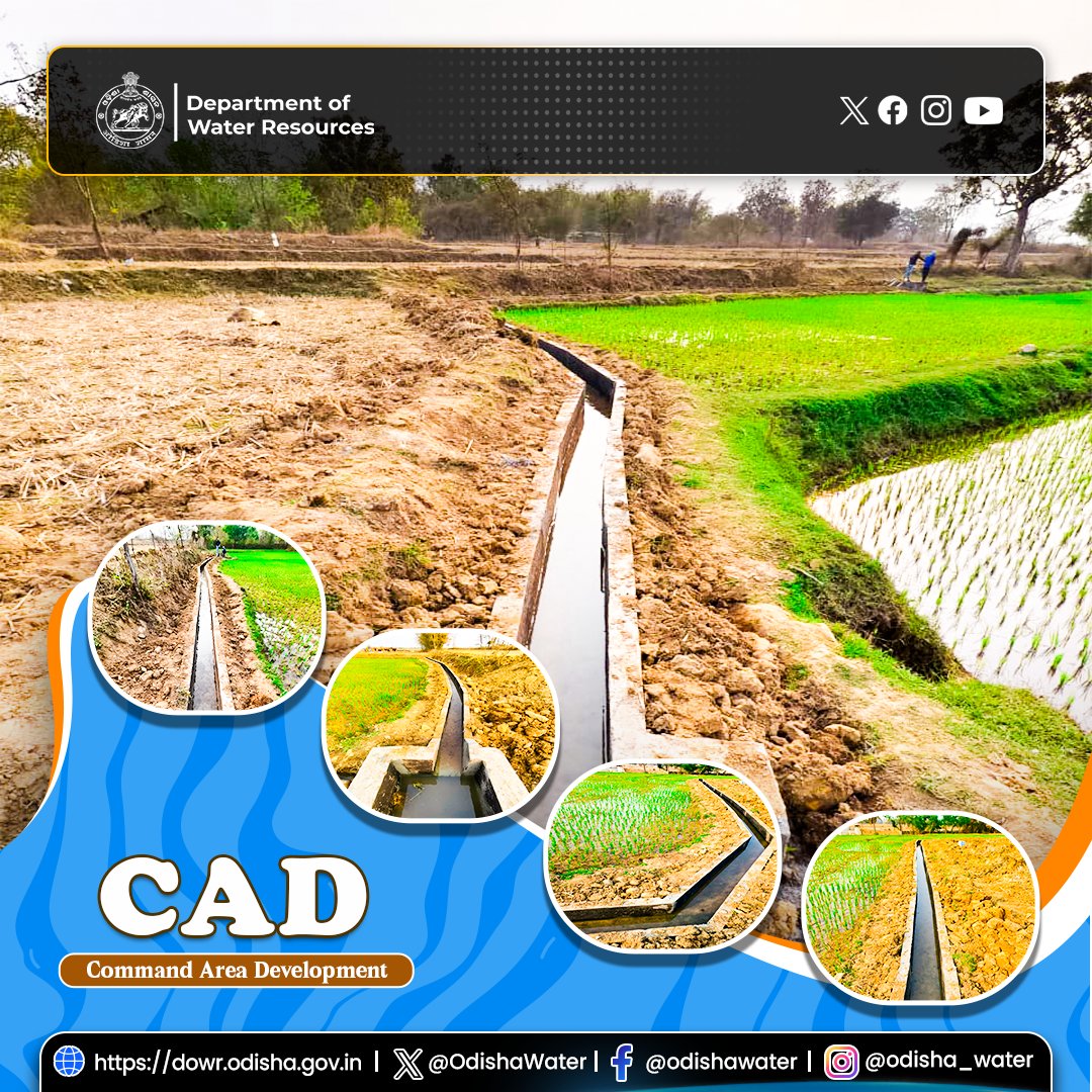 OdishaWater's tweet image. Construction of #FieldChannel under #OIIPCRA at Chandanpur, Shamakhunta Block, #MayurbhanjDistrict.
A total of 88 m of lined channel and 4 hydraulic structures have been constructed, facilitating irrigation to 3.08 ha of agricultural land in the village. The work was executed by