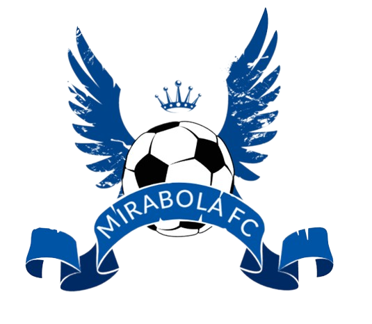 Ligue de Football Zenavienne tweet media