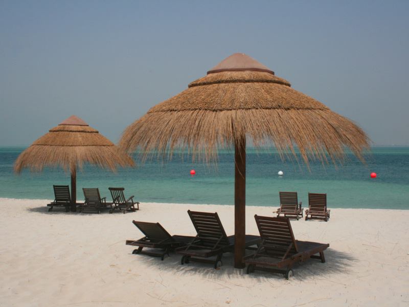 Cape Reed International tweet media