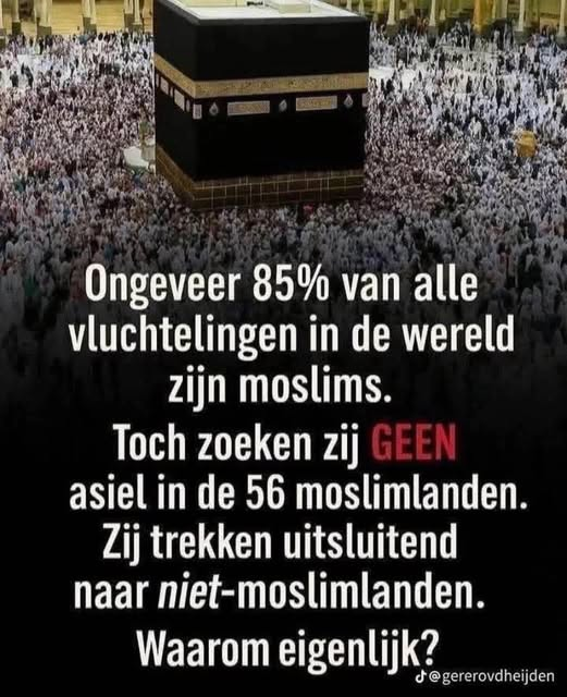 Wim den Oudsten tweet media