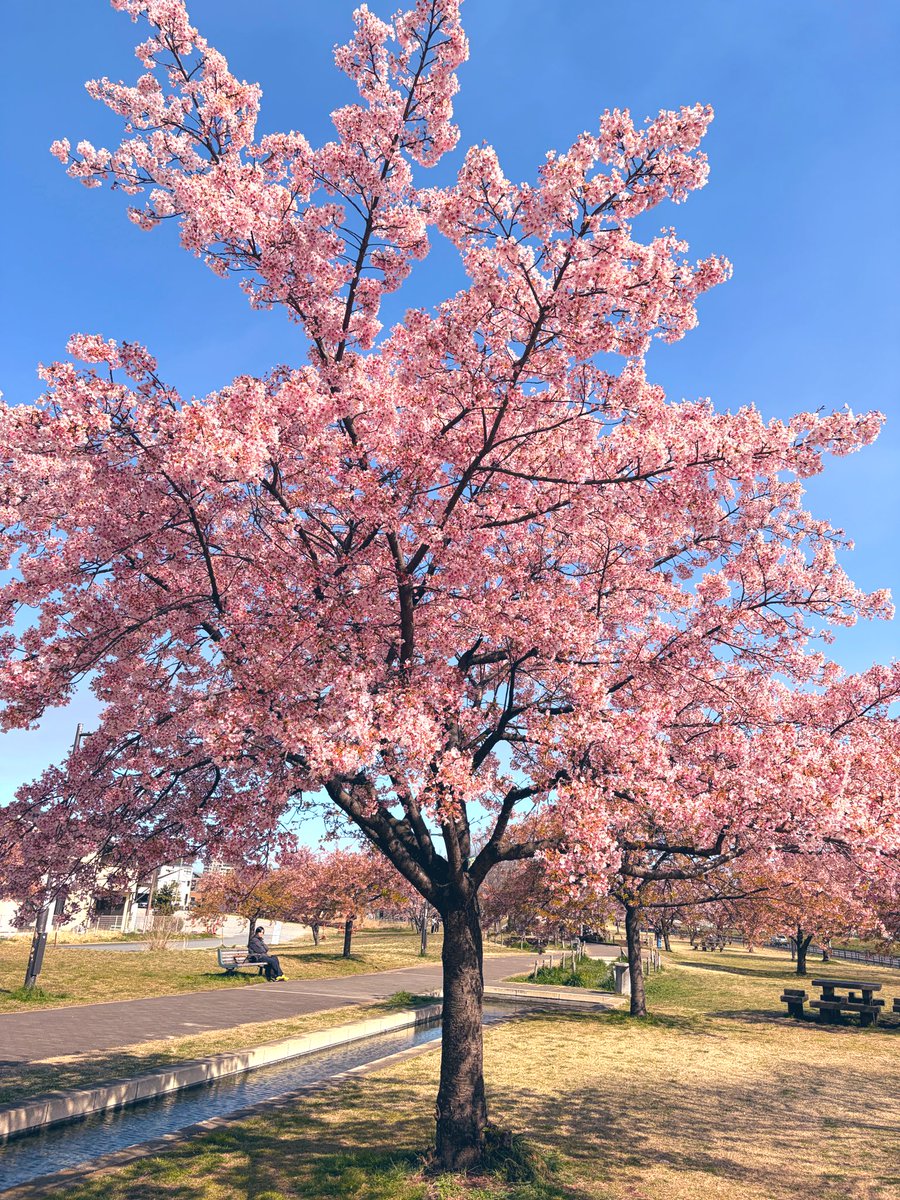 もるか tweet media