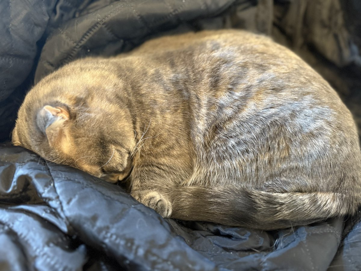 宮城紘大（こーだい） tweet media