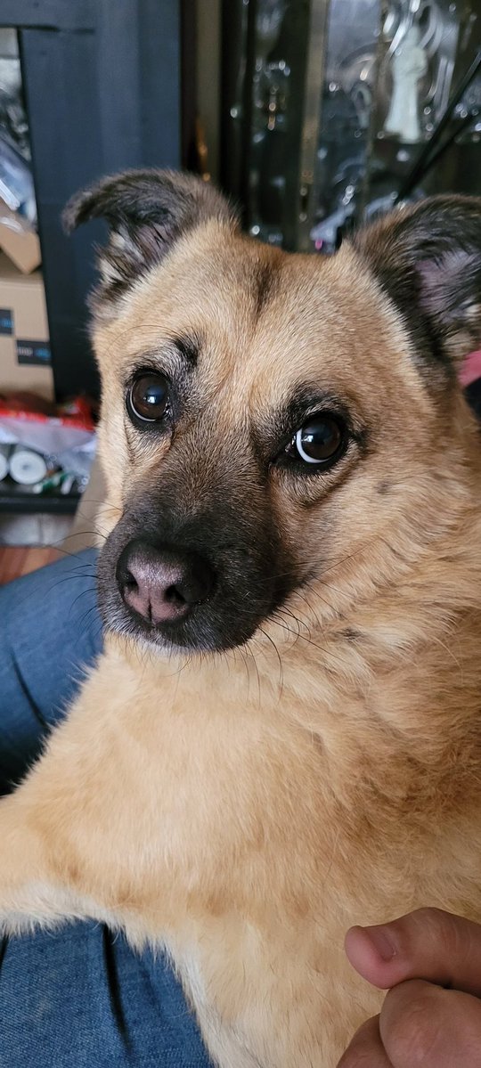 FuzzyNarwhal 🇮🇪 🔞 tweet media