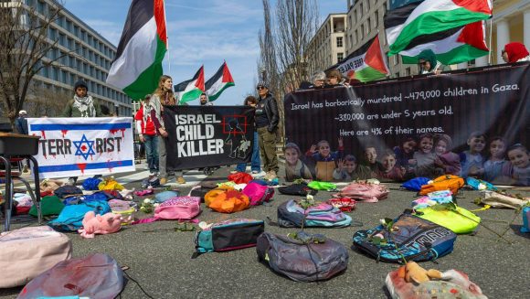 Colibrí tweet media