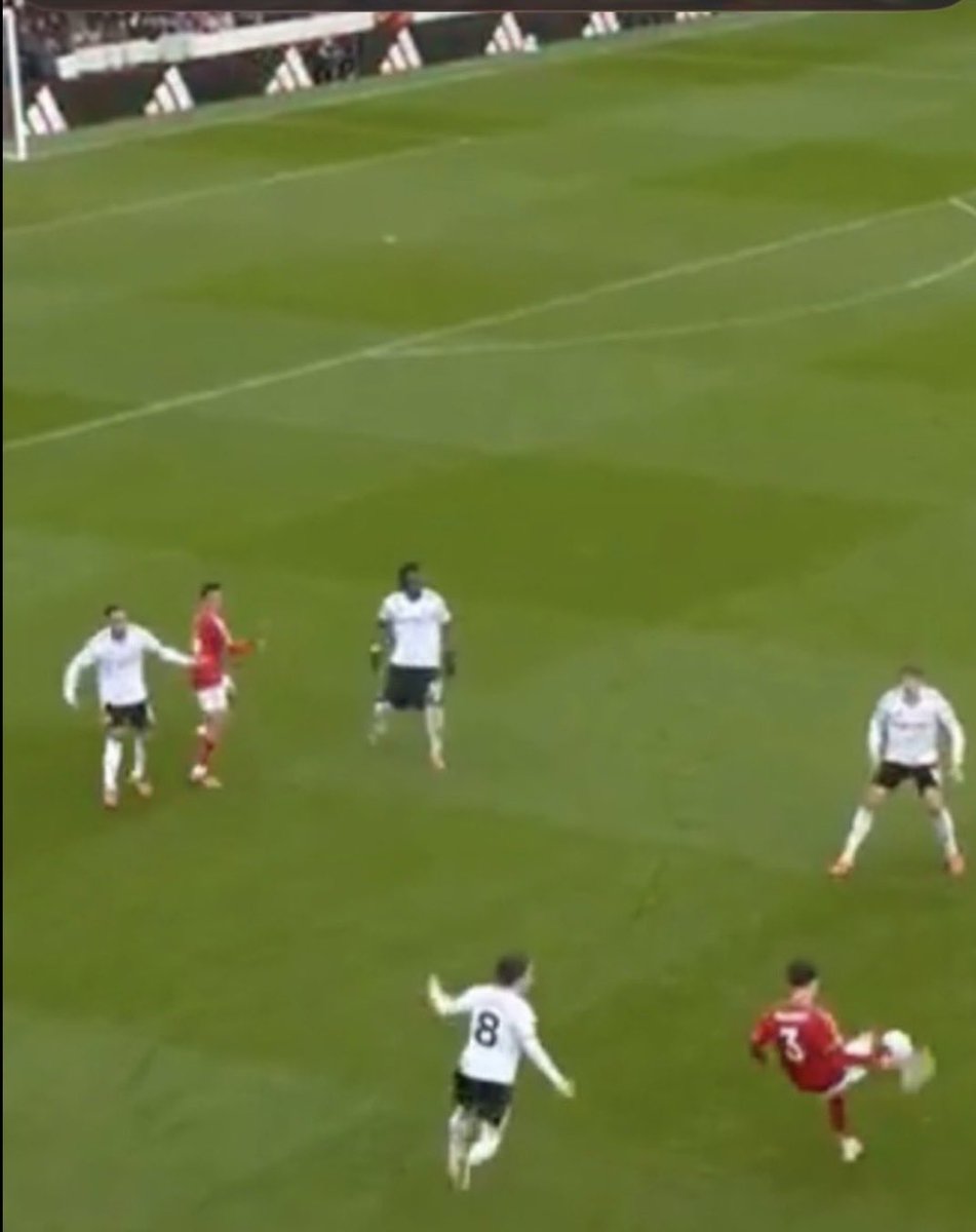 TrickyTrees🌳 tweet media