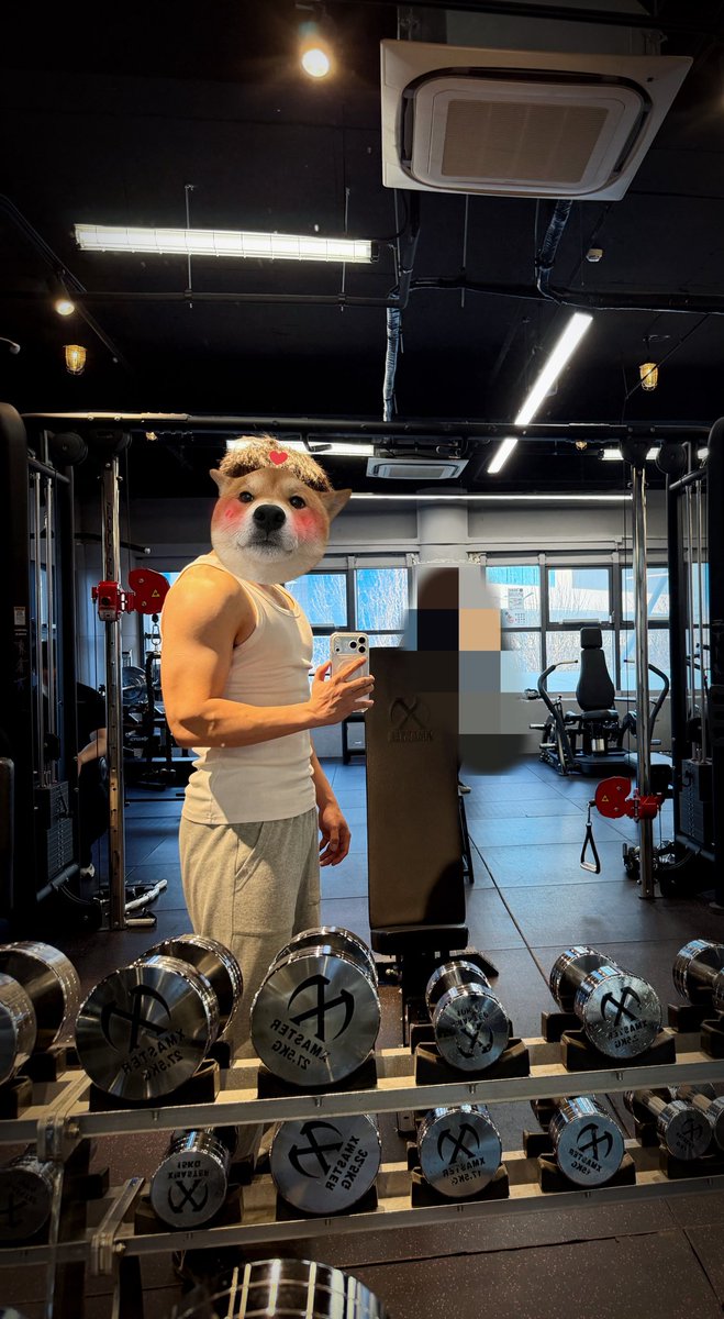 柠檬味汽水 tweet media