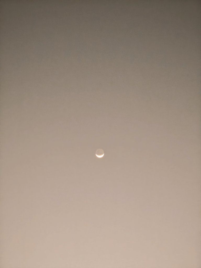 Seba Campos tweet media