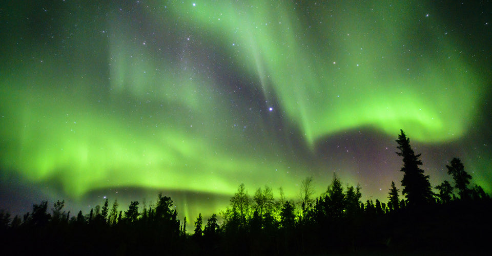 極上の旅図鑑 tweet media