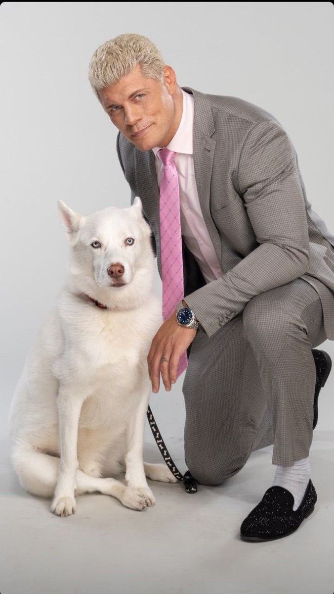 Courtney 🦷 tweet media