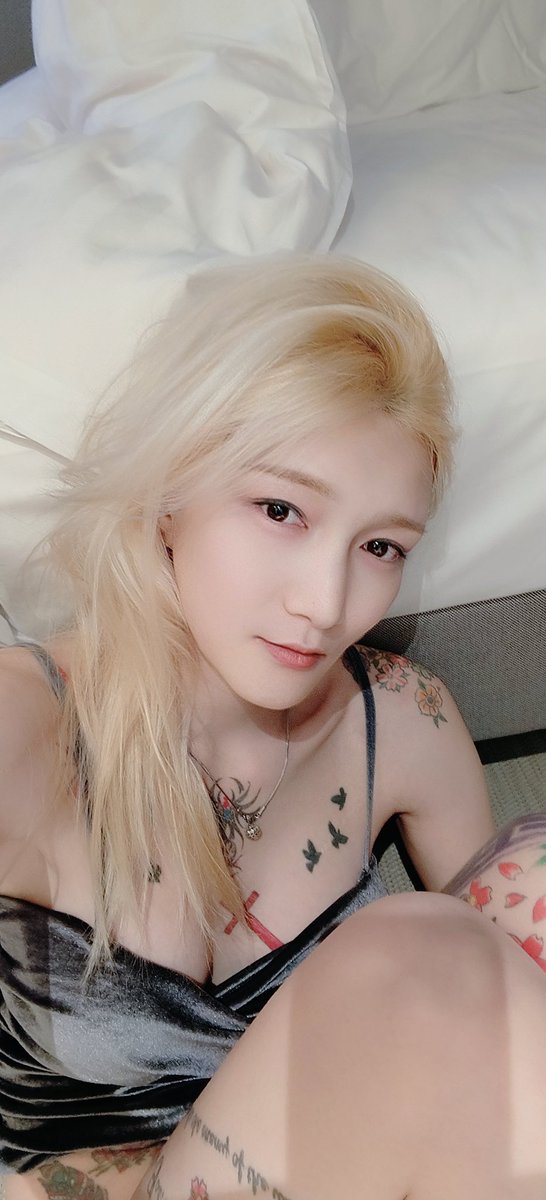 白玊玉（防走丢人格） tweet media