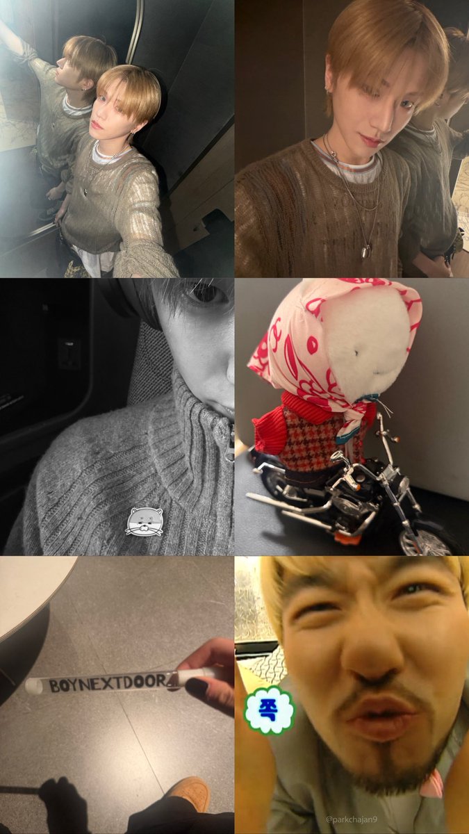 카와 tweet media