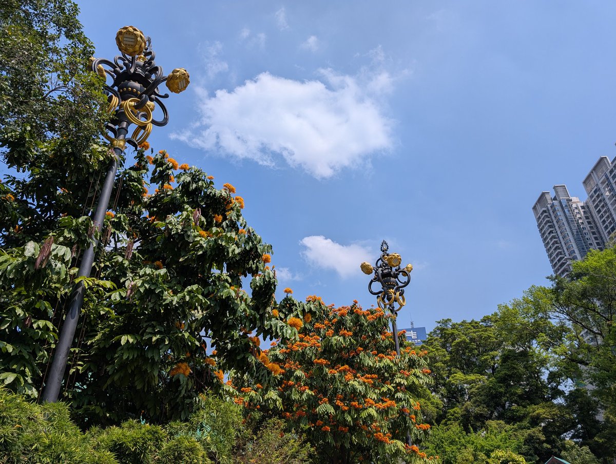 翁仔_Jeff🌅 (@jeffvww) on Twitter photo 