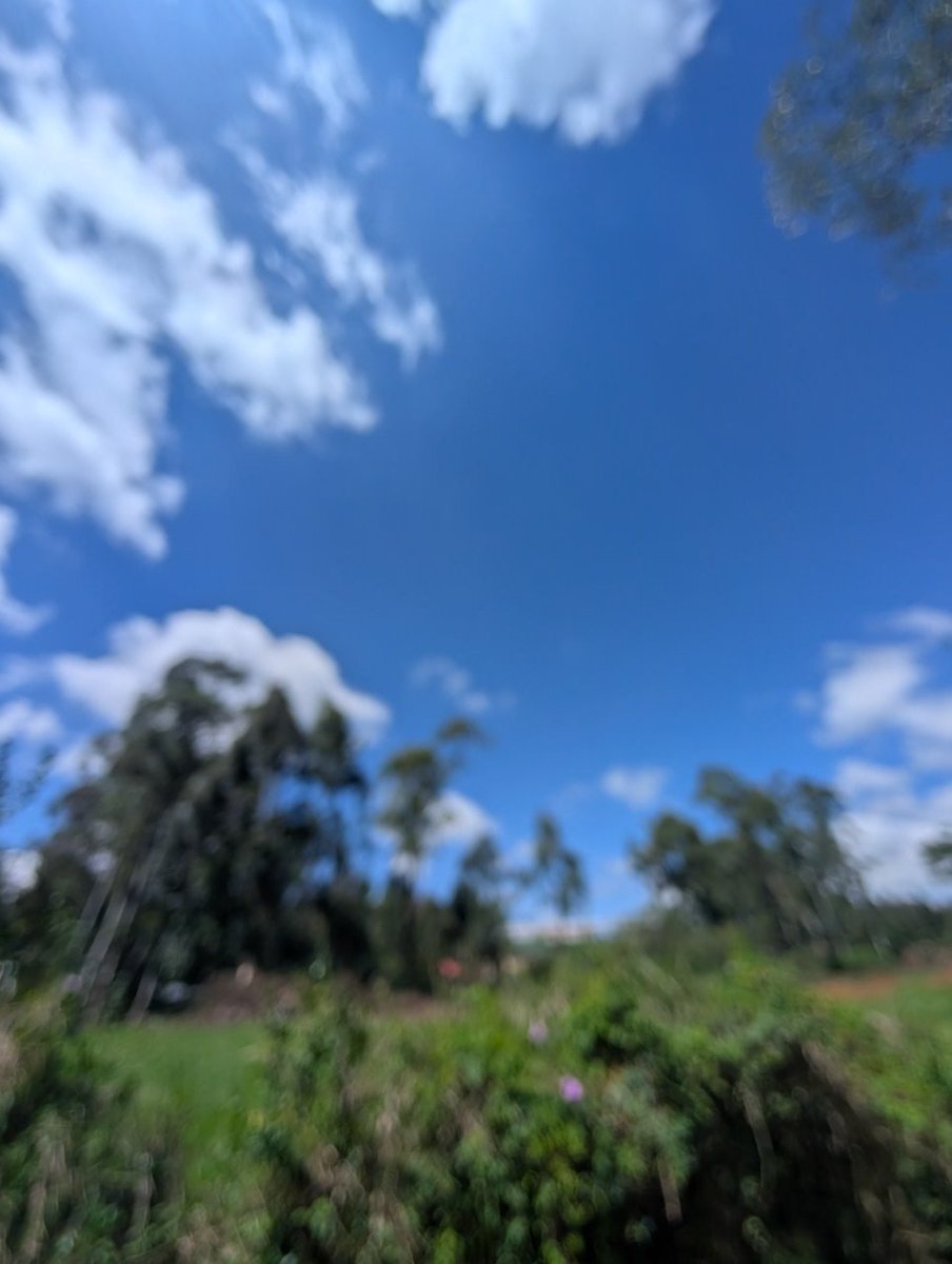 thirty3.bonk tweet media