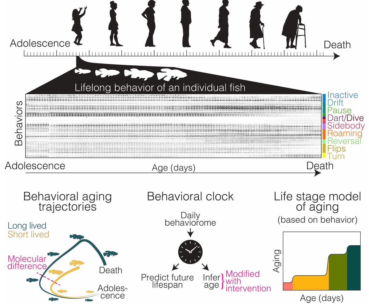 David Bishop (🦋 also bluespotscience.bsky.social) tweet media