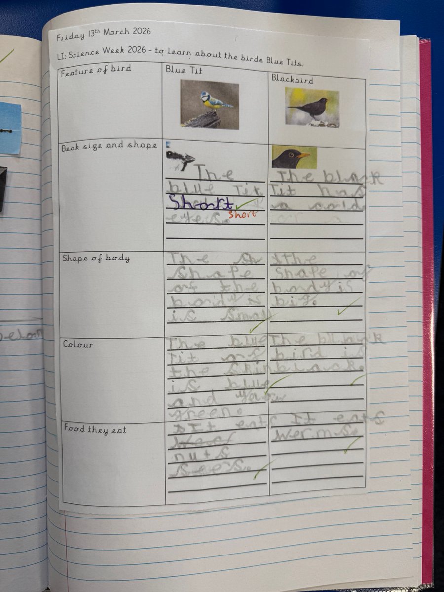 Brackenhill Primary School tweet media