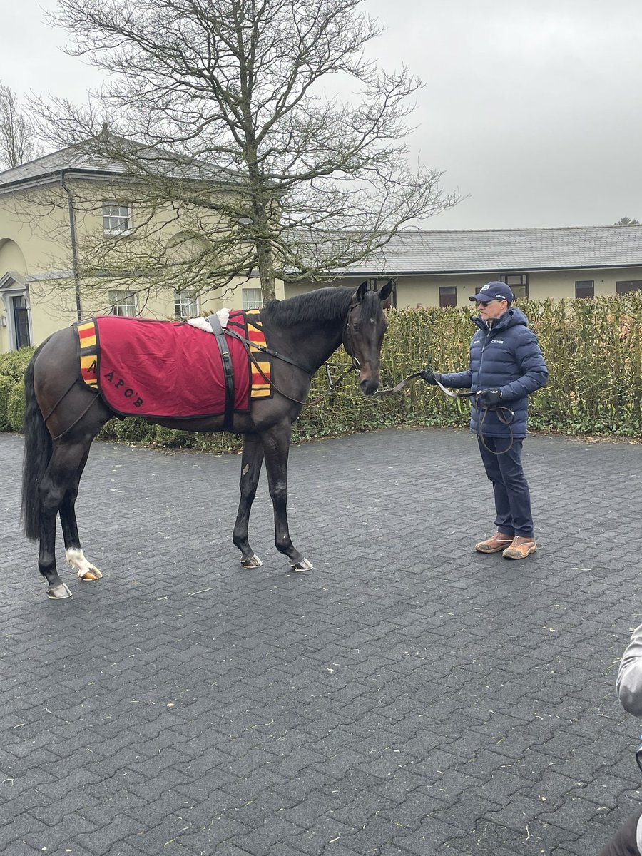 Conor Fennelly tweet media