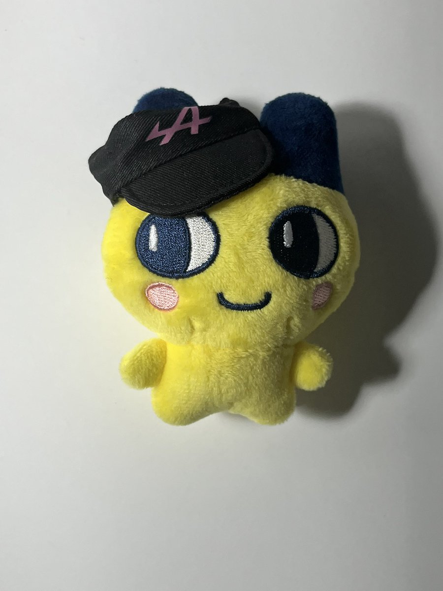 mmrheo10's tweet photo. 띠에루마메치(대가리가크고,몸이짧음) https://t.co/WW8EhGyfkH