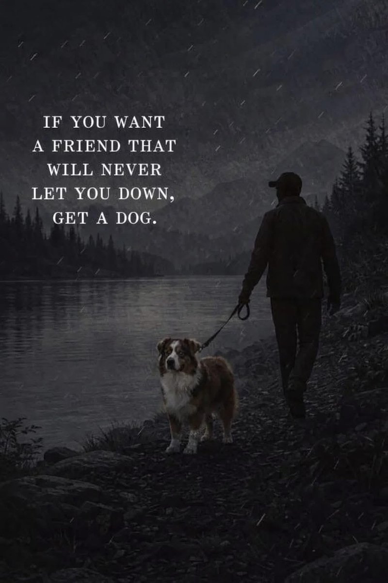 David Hiller tweet media