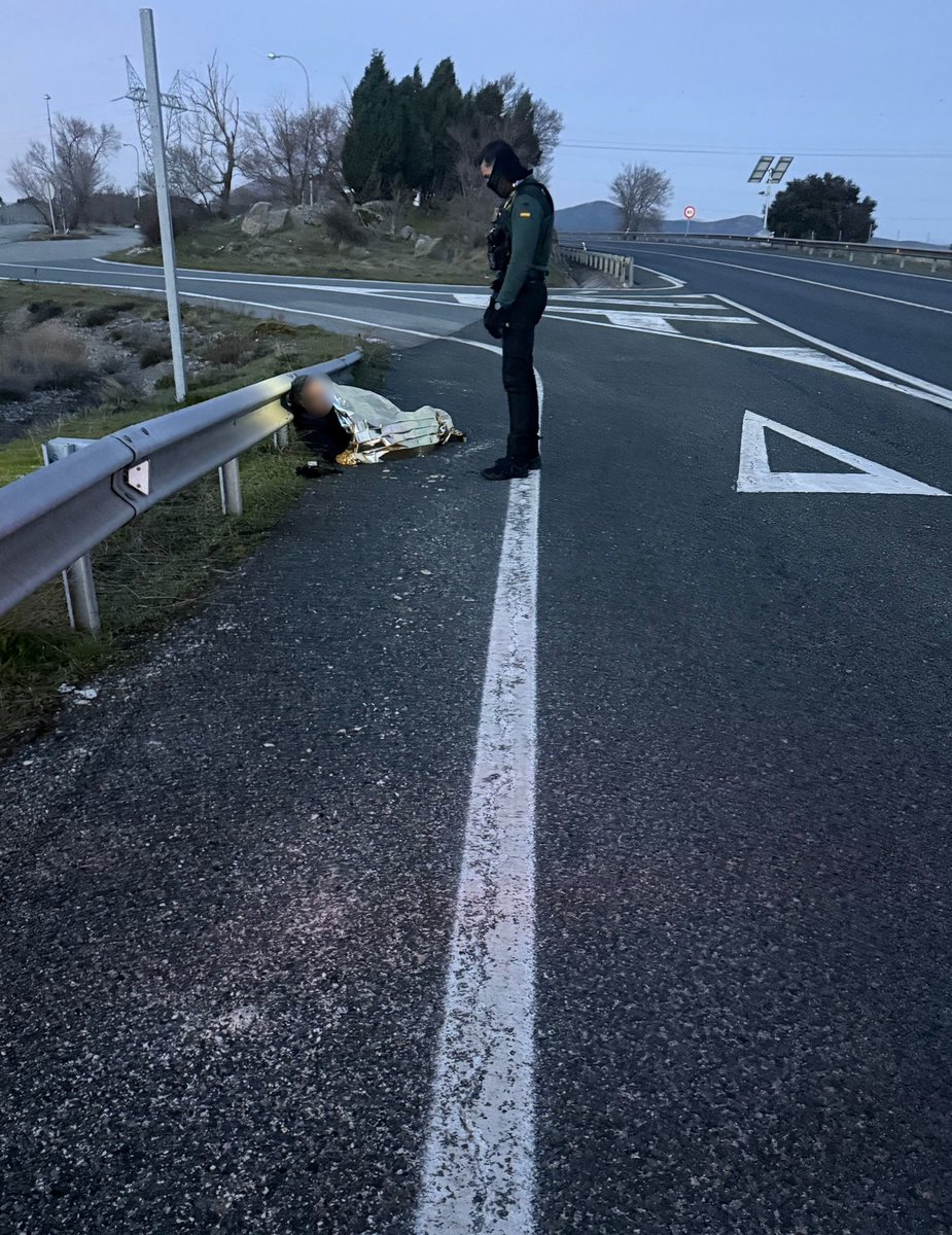GCSegovia062's tweet image. 🚨 Detenido en la N-603 (Otero de Herreros) un varón de 48 años, residente en Sevilla, tras localizar en el vehículo de alquiler en el que viajaba, 14,5 kg de hachís y 300 g de cocaína. 
#UOPJ #EDOA #SeguridadCiudadana