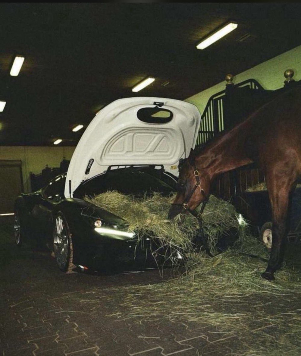 𝔻𝕒𝕟. tweet media