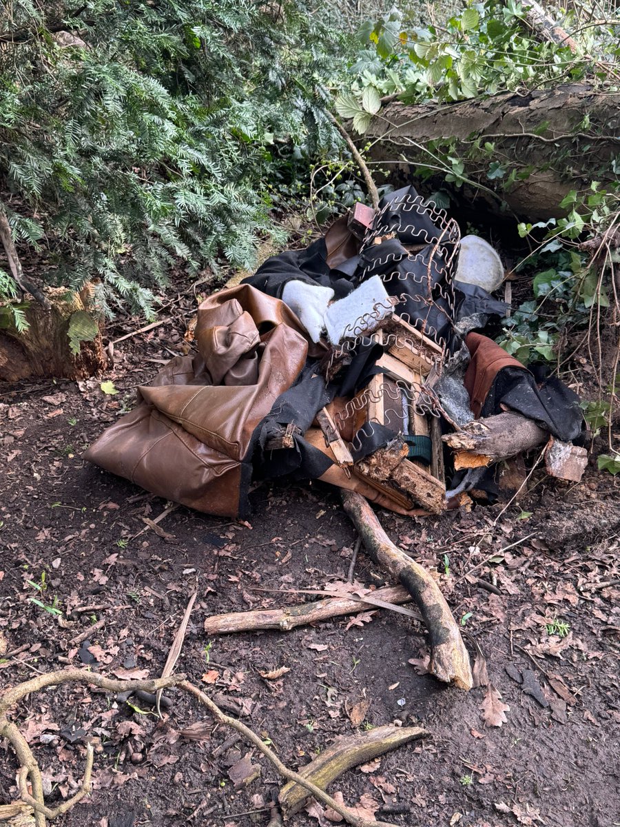 STEPHEN FERNS tweet media