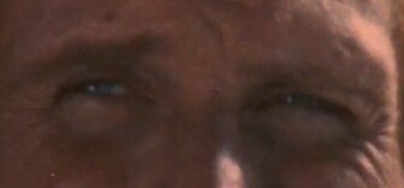 Bufo Calvin tweet media