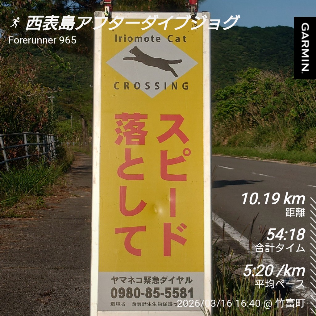 ミャクRun(改名) シーズン終了！→リカバリー西表島 tweet media