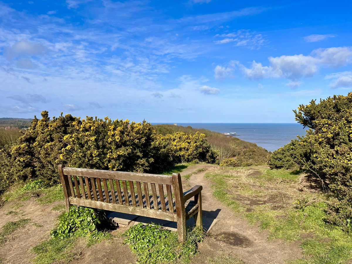 WalkingTractor tweet media