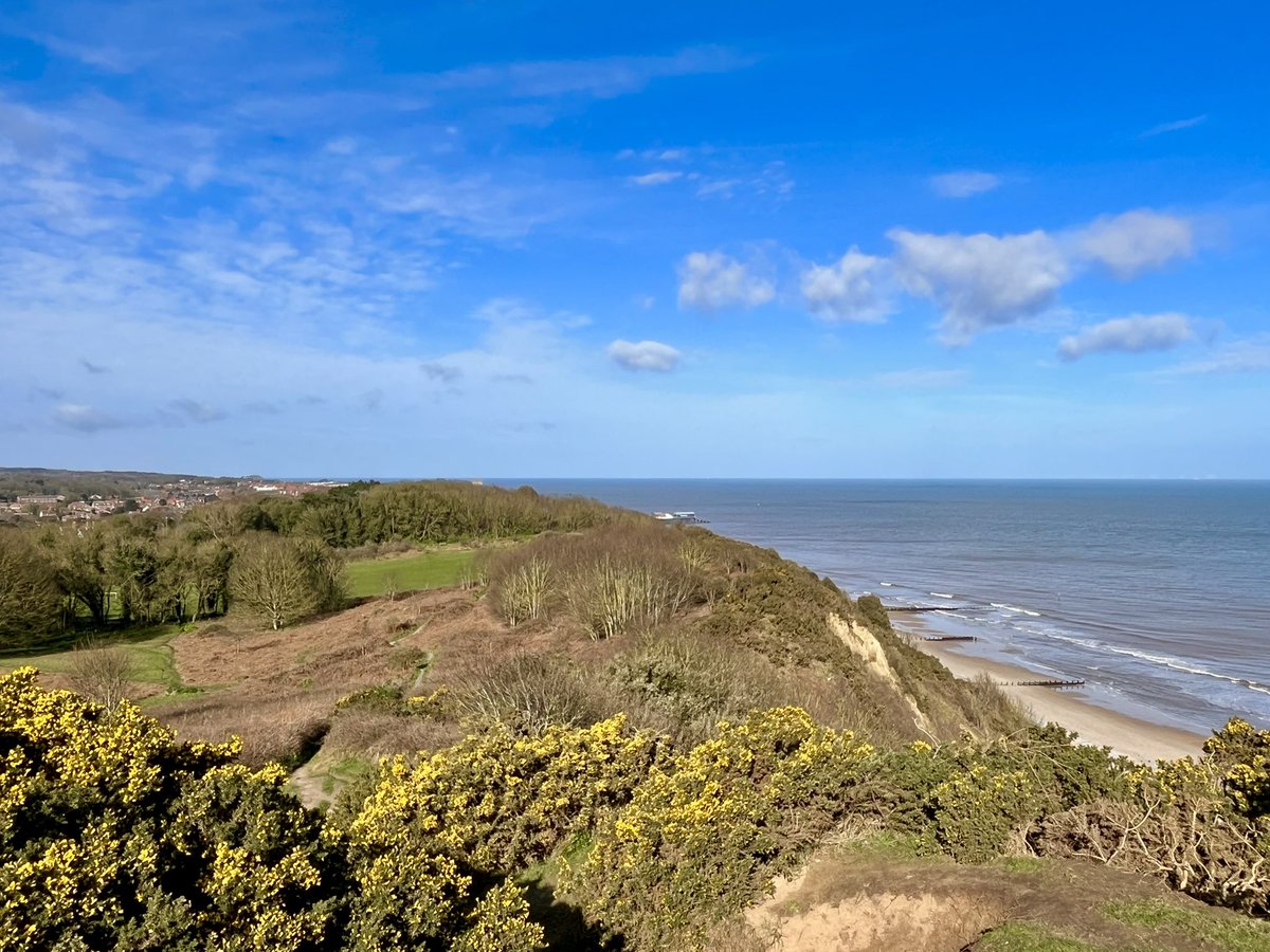 WalkingTractor tweet media