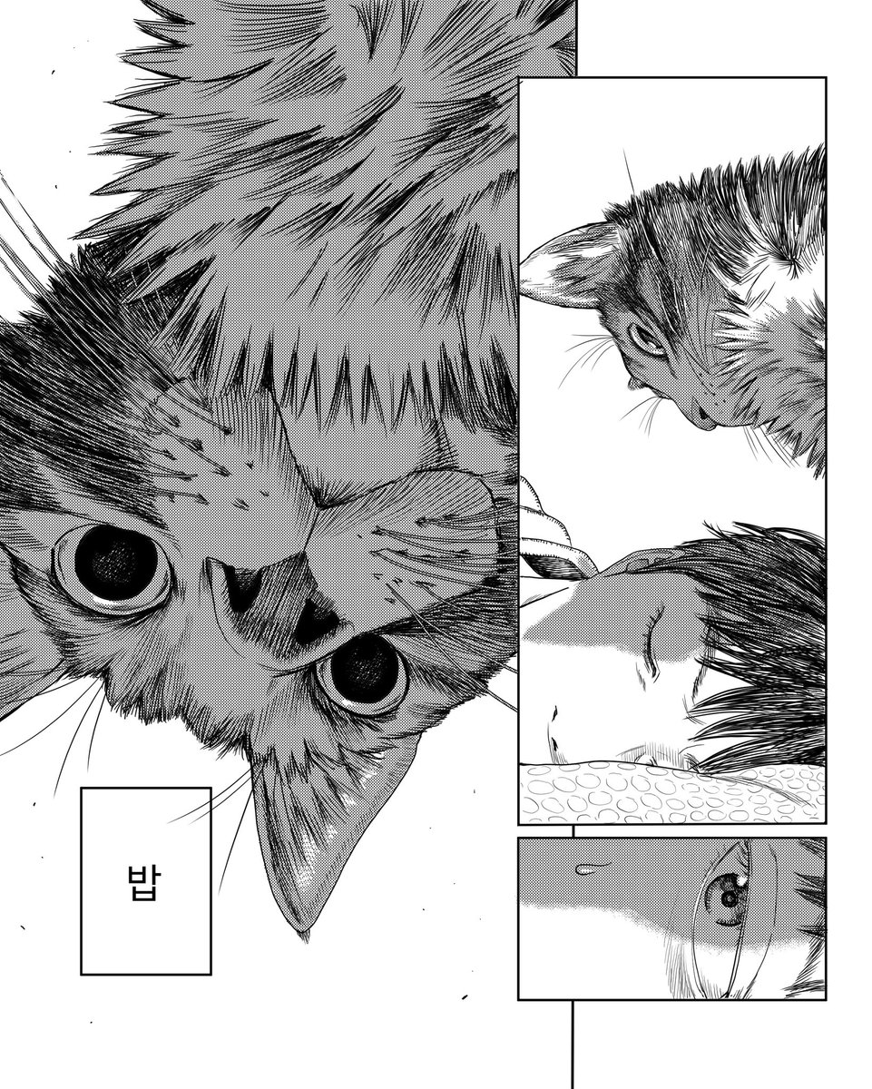 sato l 金田サト tweet media