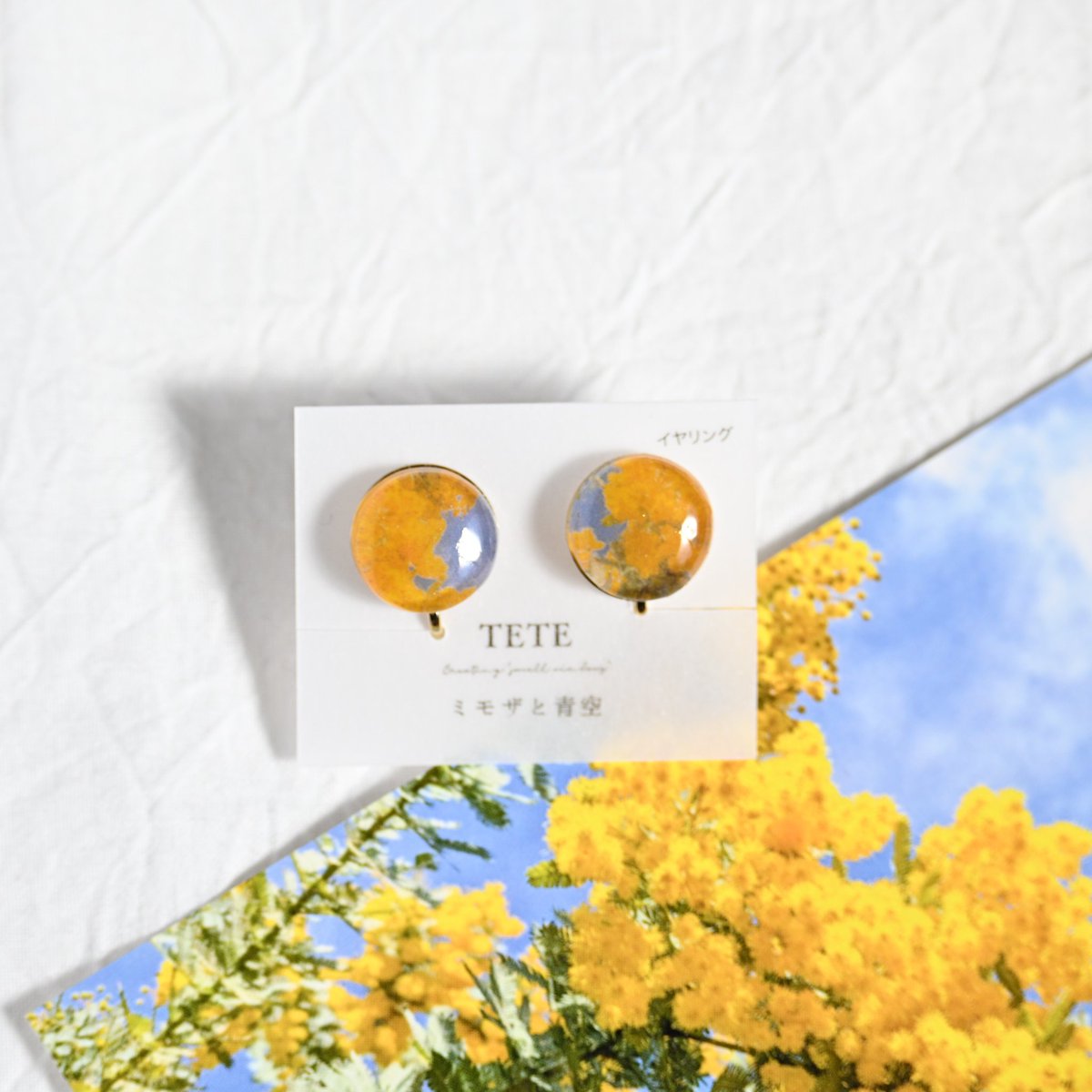 TETE｜4/5アニマーレ E-20 tweet media