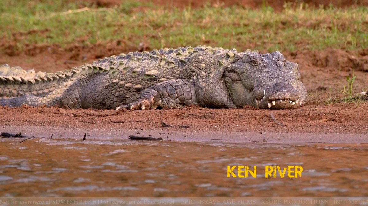 Kirti Vardhan Singh tweet media