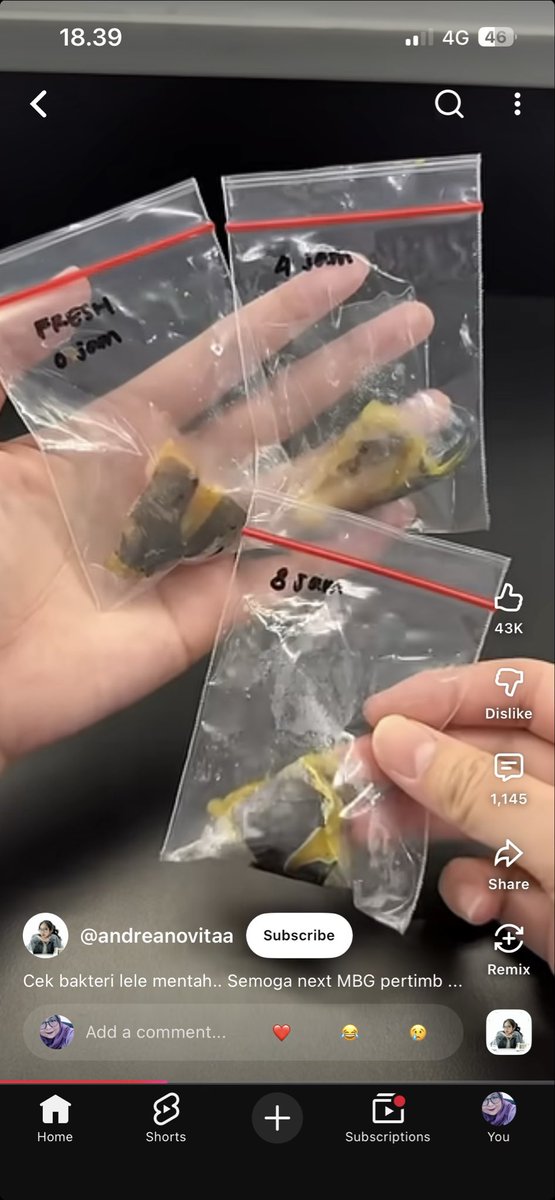 B R I G I T T A tweet media