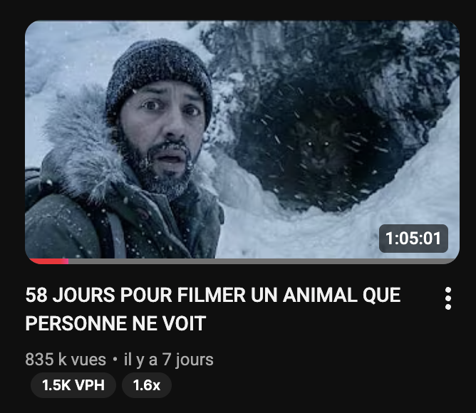 JUSTIN BUISSON tweet media