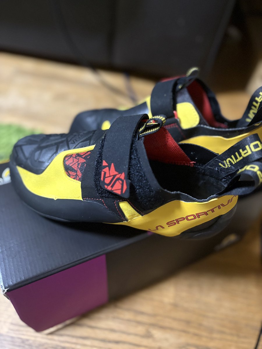 今年の春夏秋は山岳会に入って岩山登るトレデビューします‼️マジで筋肉痛(-_-;)